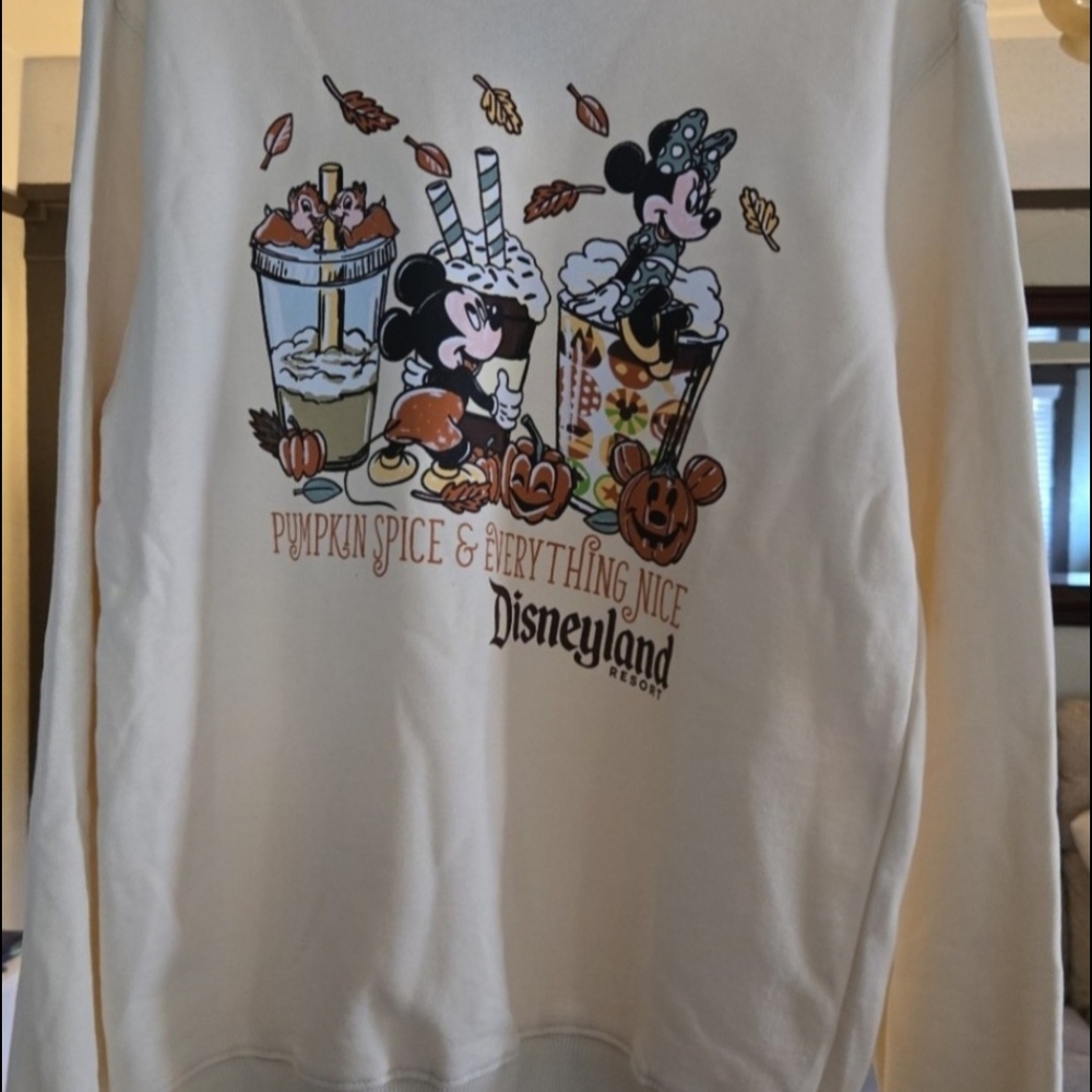 Disney Parks Disneyland Pumpkin Spice & Everything Nice Halloween Sweatshirt LRG